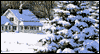Especially for You -- Christmas eCard from Blue Mountain