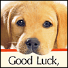 You'll Do Great! -- Good Luck Greeting Cards project from Yahoo! Greetings