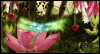 Valentine's Day: Valentine Wishes
