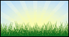 Create Joy -- 