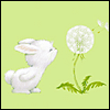 Get Well Soon! --  project from Yahoo! Greetings