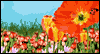Spring eCard: Springtime Joy