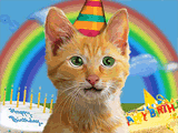 birthday kitty