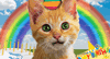 Birthday Kitty -- Characters You Love eCard from Yahoo! Greetings