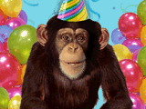 party monkey
