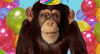Party Monkey -- Characters You Love eCard from Yahoo! Greetings