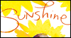 Sunshine -- Thank You eCard from Blue Mountain