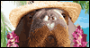 Walrus Fun -- Characters You Love eCard from Yahoo! Greetings