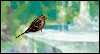 Thank You for Your Friendship -- Friendship eCard from Yahoo! Greetings