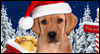 Santa Puppy -- Merry Christmas eCard from Yahoo! Greetings