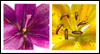 The Bright Promise of Easter -- Easter eCard from Yahoo! Greetings
