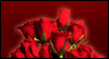 Your Heart: Free Love ecard from Egreetings
