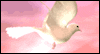 God's Blessings (Downloadable Music) -- Easter eCard from Yahoo! Greetings