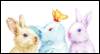 Joyful Spring: Free Easter ecard from Egreetings
