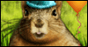 Birthday Nut -- Birthday eCard from Blue Mountain