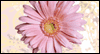 Joy in Each Other: Free Anniversary ecard from Egreetings