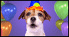 Woofy Birthday --  eCard from Yahoo! Greetings