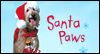 Santa Paws Christmas Card