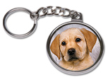 Key Chain - Nickel