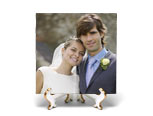 Photo Tile