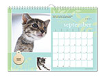 11x8 Horizontal Calendar - Cat's Meow