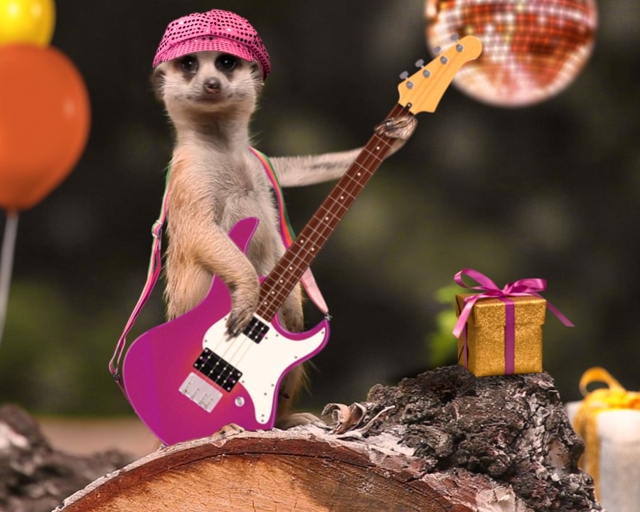 "‘Jungle Boogie’ Birthday Smashup (Personalize)" | ecard | Blue Mountain